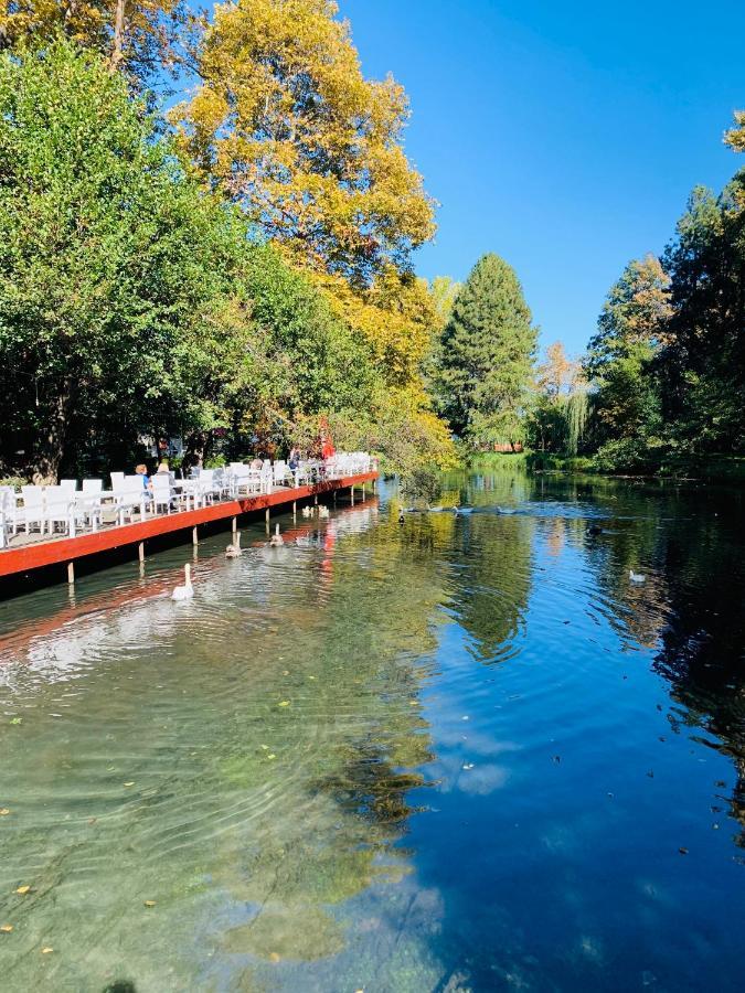 Luxurious Apartment Lake View Pogradaş Dış mekan fotoğraf